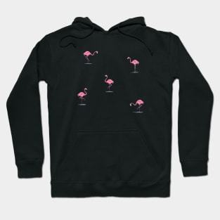 Flamingos print Hoodie
